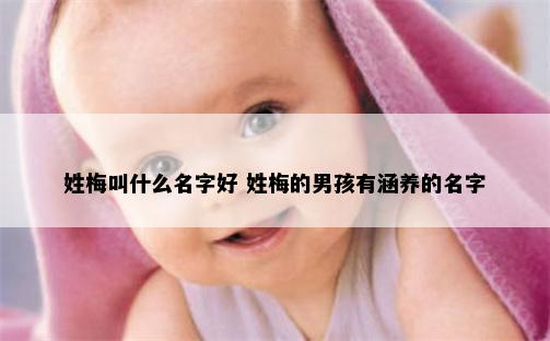 姓梅叫什么名字好 姓梅的男孩有涵养的名字